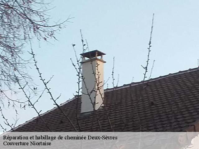 Réparation et habillage de cheminée Deux-Sèvres 