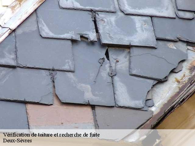 Vérification de toiture et recherche de fuite Deux-Sèvres 