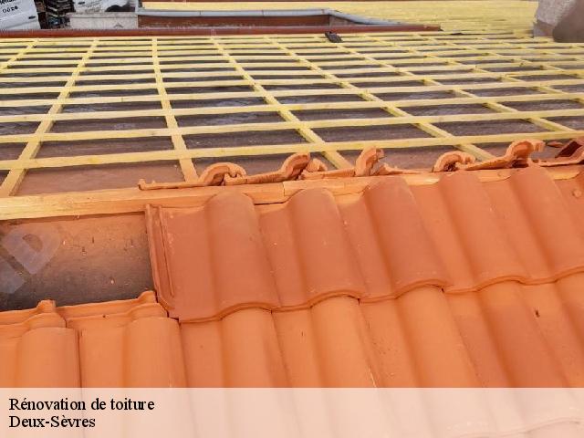 Rénovation de toiture Deux-Sèvres