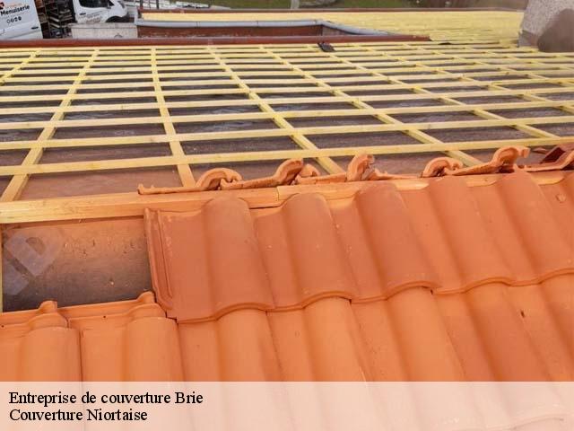 Entreprise de couverture 79100