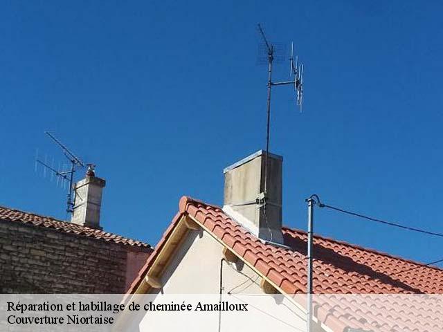 Réparation et habillage de cheminée  amailloux-79350 Couverture Niortaise