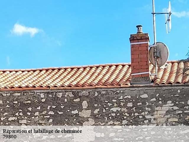 Réparation et habillage de cheminée 79800