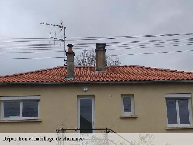 Réparation et habillage de cheminée 79800