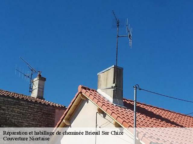 Réparation et habillage de cheminée  brieuil-sur-chize-79170 Couverture Niortaise