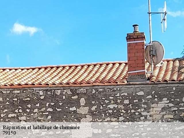 Réparation et habillage de cheminée 79150