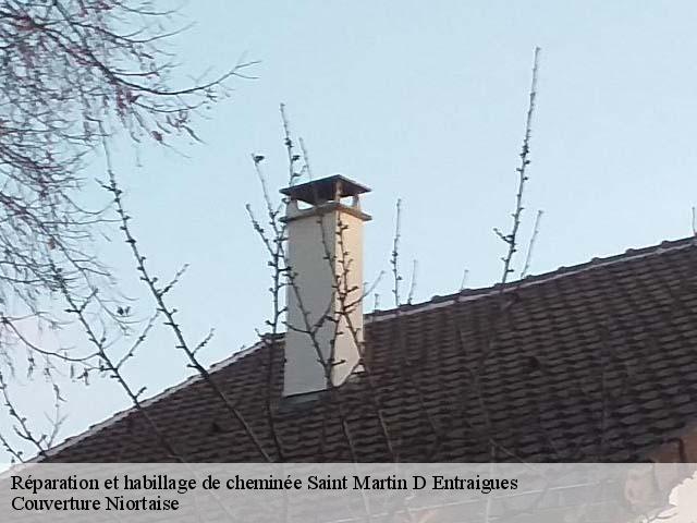 Réparation et habillage de cheminée 79110