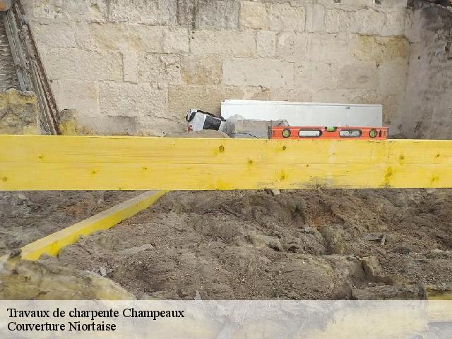 Travaux de charpente 79220