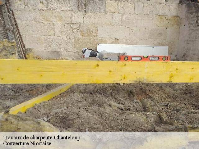 Travaux de charpente 79320