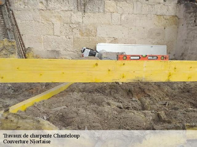 Travaux de charpente  79320