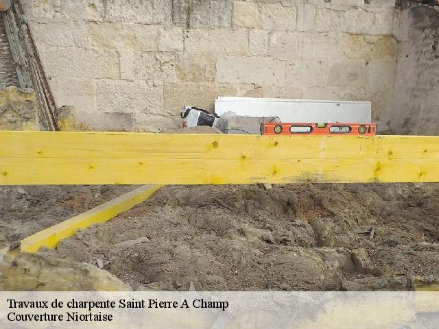 Travaux de charpente 79290