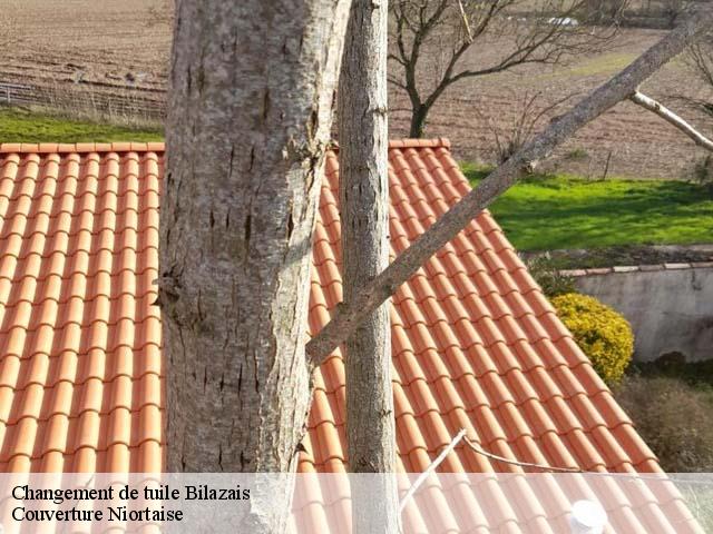 Changement de tuile 79100