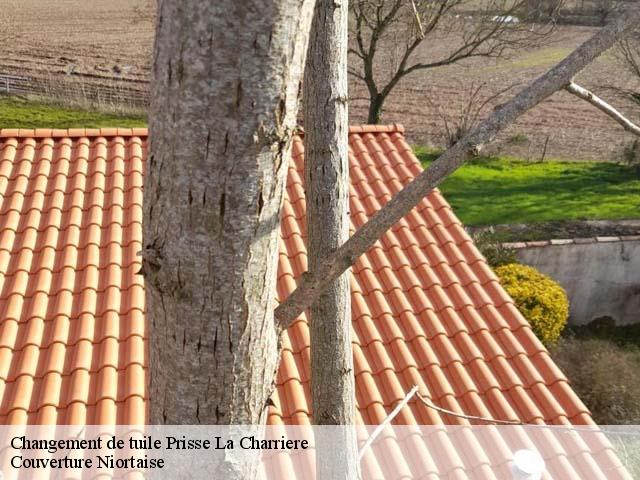 Changement de tuile 79360