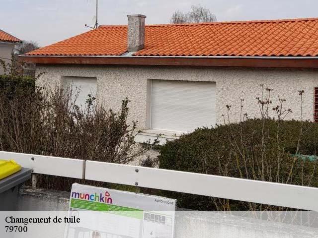 Changement de tuile 79700