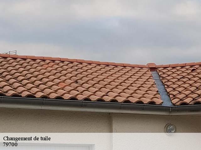 Changement de tuile 79700