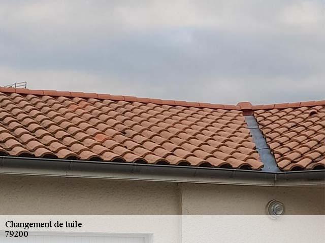 Changement de tuile 79200