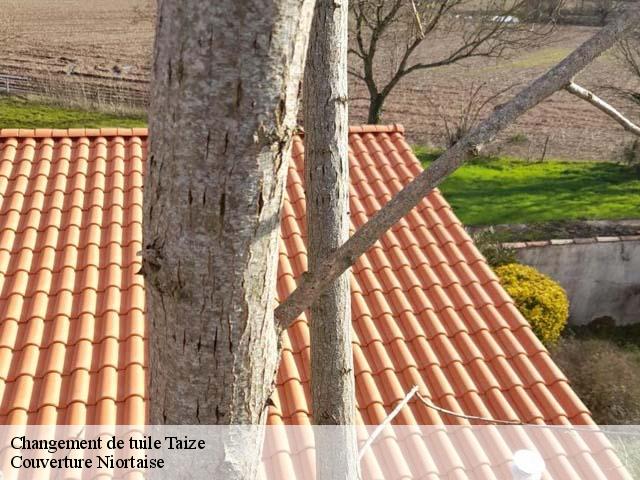 Changement de tuile 79100