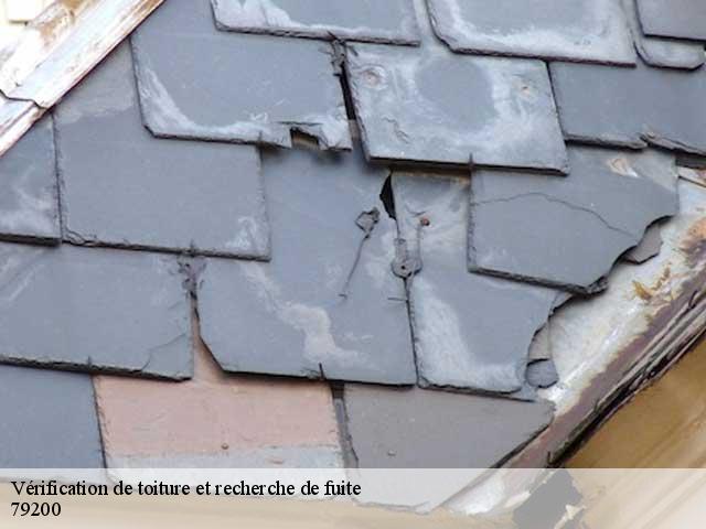 Vérification de toiture et recherche de fuite 79200