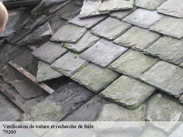Vérification de toiture et recherche de fuite 79200