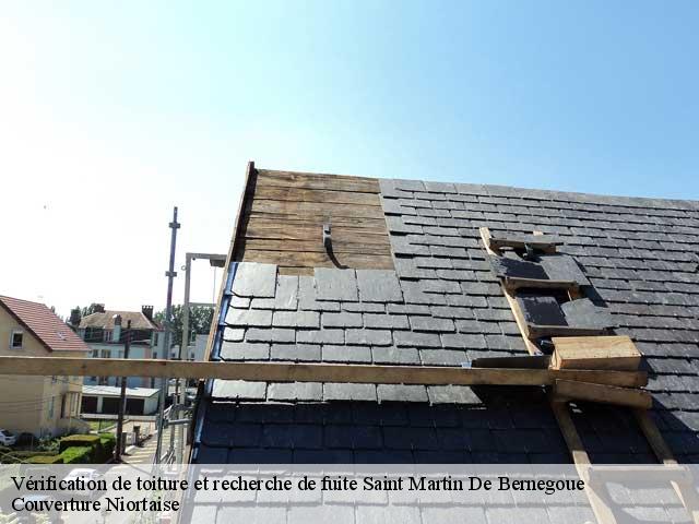 Vérification de toiture et recherche de fuite 79230