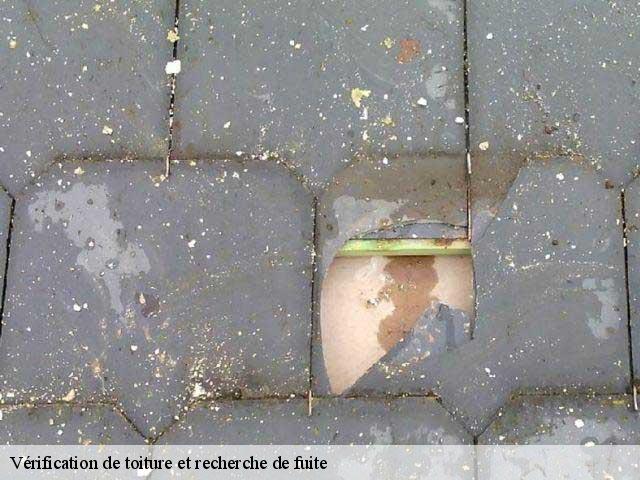 Vérification de toiture et recherche de fuite 79700