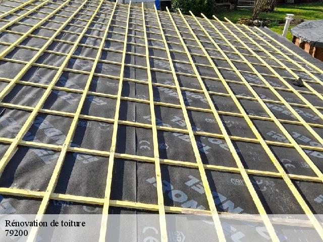 Rénovation de toiture 79200