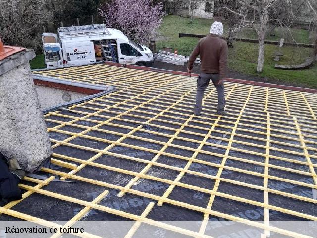 Rénovation de toiture 79200