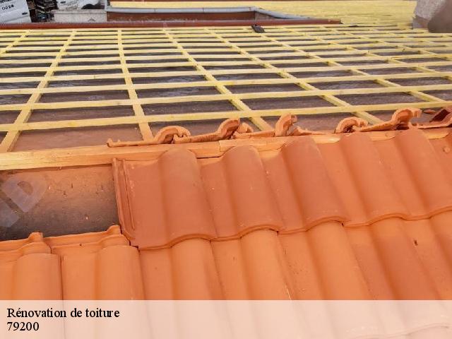Rénovation de toiture 79200