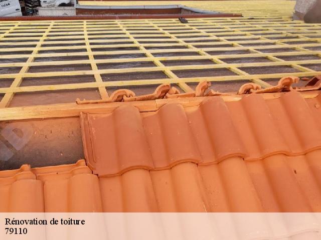 Rénovation de toiture 79110
