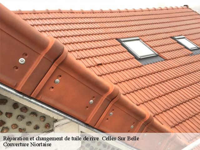 Réparation et changement de tuile de rive celles-sur-belle-79370 Couverture Niortaise