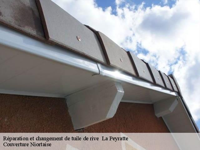 Réparation et changement de tuile de rive