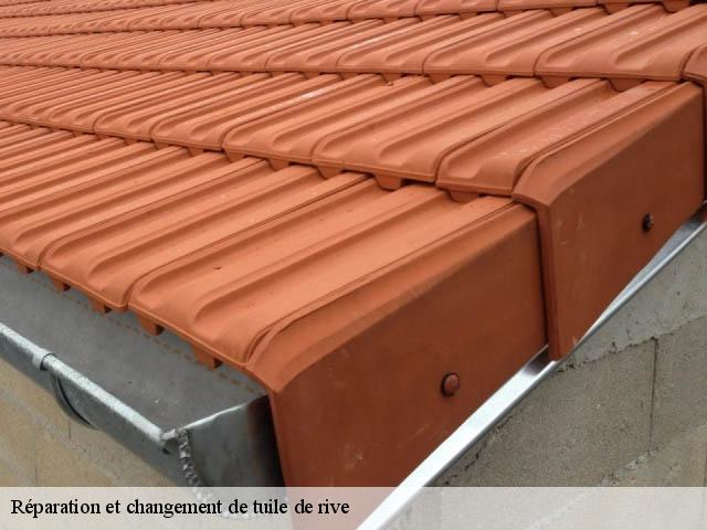 Réparation et changement de tuile de rive