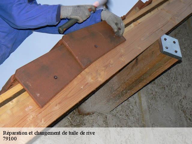 Réparation et changement de tuile de rive