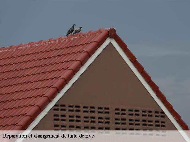 Réparation et changement de tuile de rive 79100