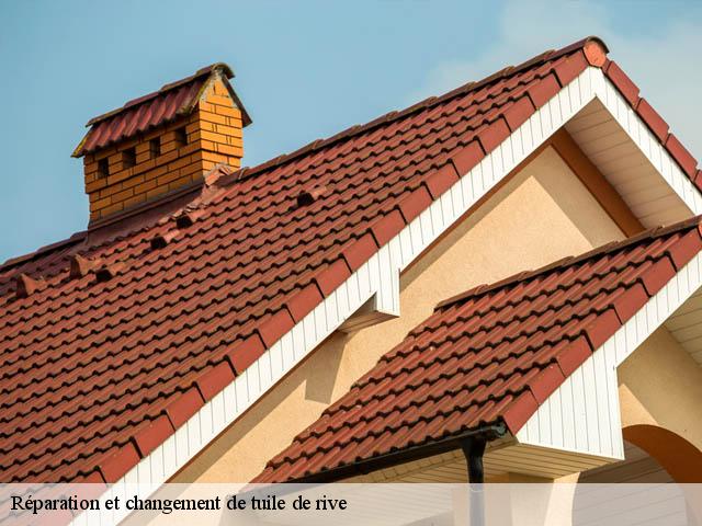 Réparation et changement de tuile de rive