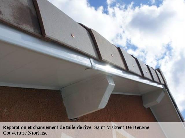 Réparation et changement de tuile de rive