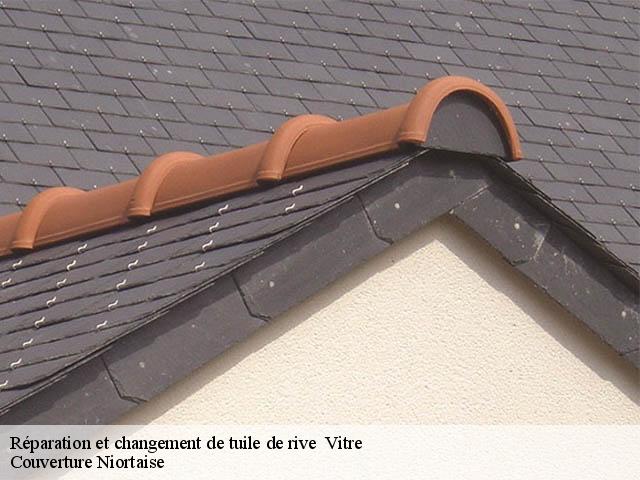 Réparation et changement de tuile de rive 79370