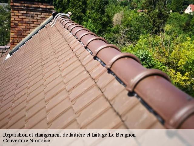Réparation et changement de faitière et faitage 79130