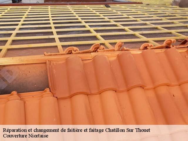 Réparation et changement de faitière et faitage  chatillon-sur-thouet-79200 Couverture Niortaise