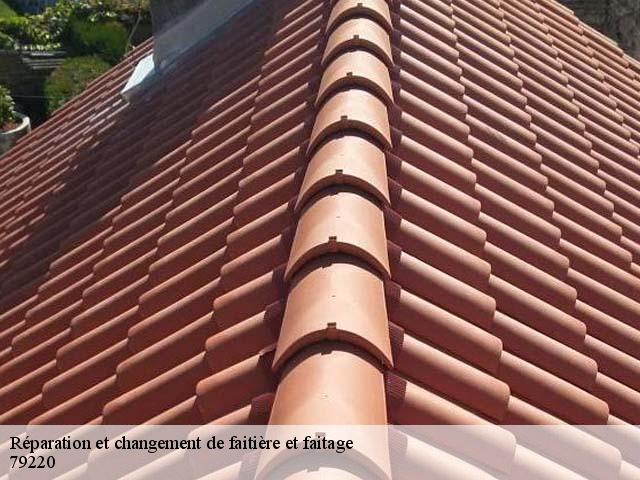 Réparation et changement de faitière et faitage 79220