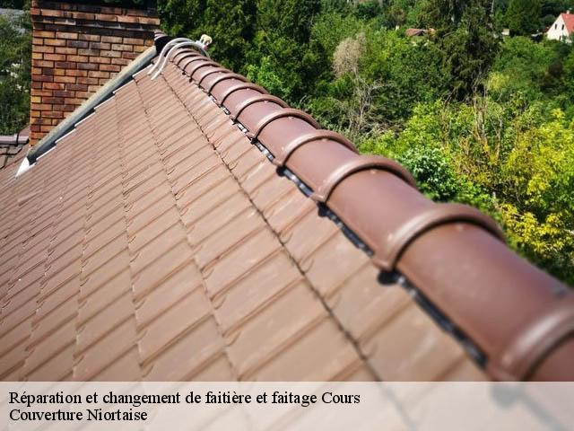 Réparation et changement de faitière et faitage 79220