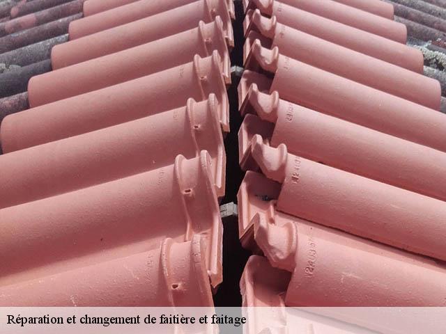 Réparation et changement de faitière et faitage 79220