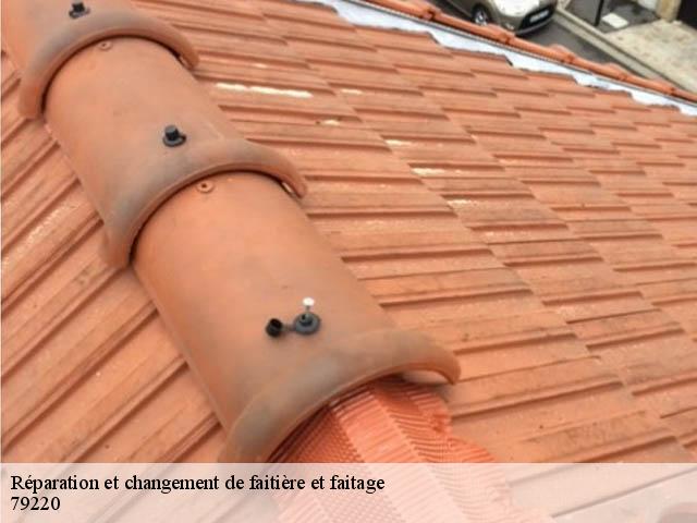 Réparation et changement de faitière et faitage 79220