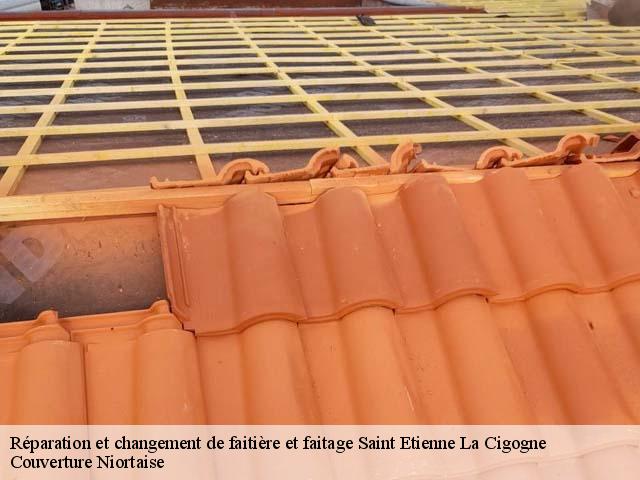 Réparation et changement de faitière et faitage  saint-etienne-la-cigogne-79360 Couverture Niortaise